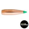 Sierra Game Changer Tipped GameKing Bullets 6mm 90gr 50/ct